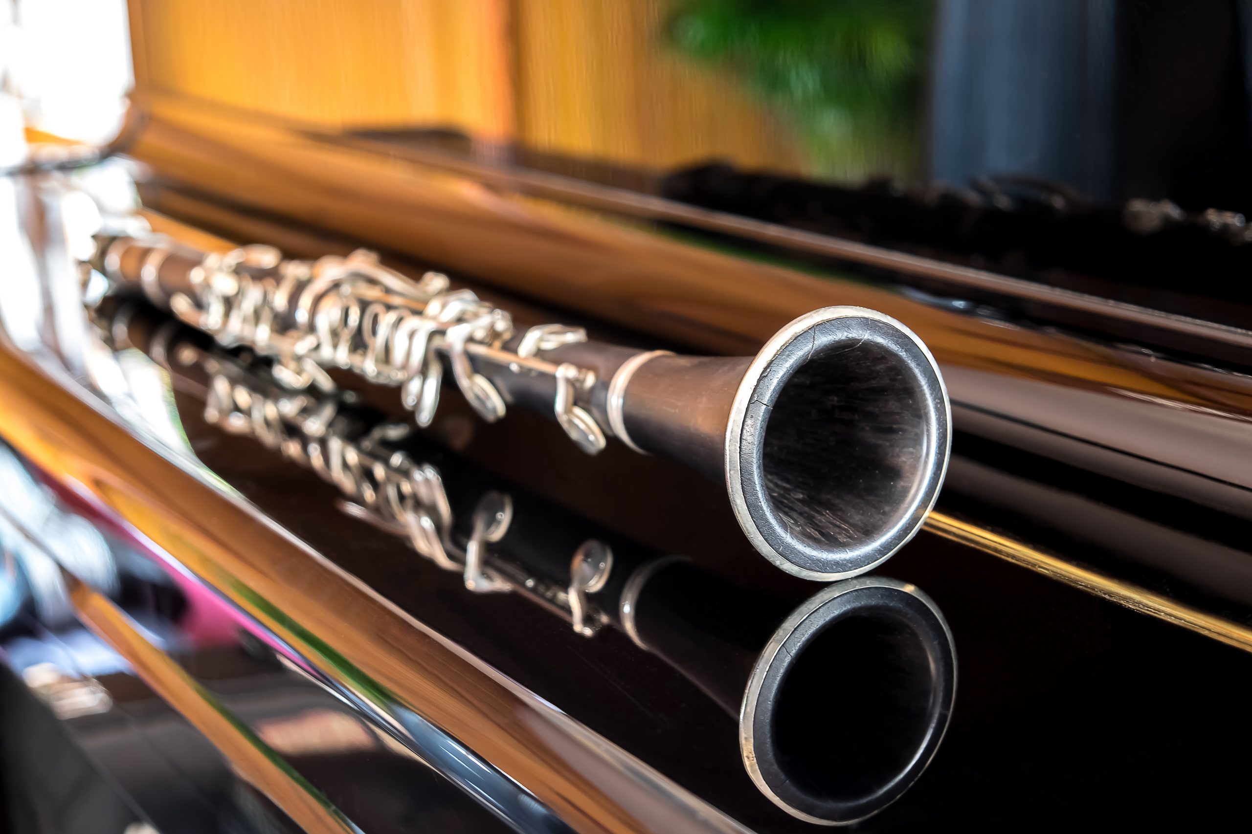 pipeline plan sponsored Clarinet – curs interactiv de educație muzicală și instrument – Scoala  Zorila